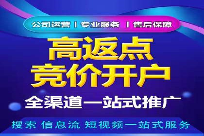 案例解读：SEM托管助力电商销售增长